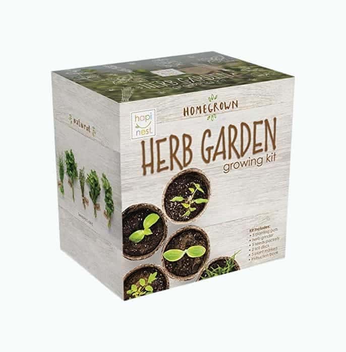 Indoor Herb Garden Seed Kit