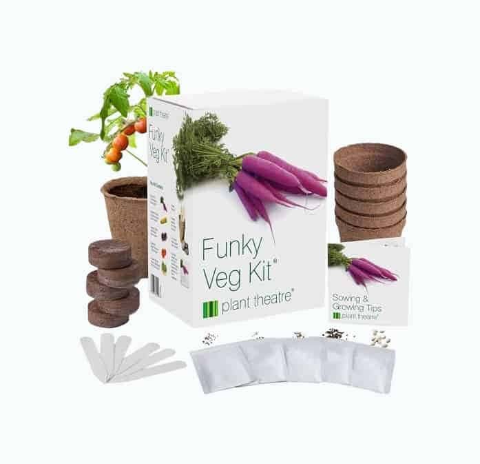 Funky Veg Garden Starter Kit