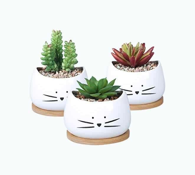 Cat Succulent Plant Pots