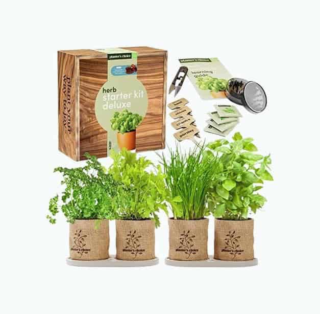 Herb Garden Starter Kit