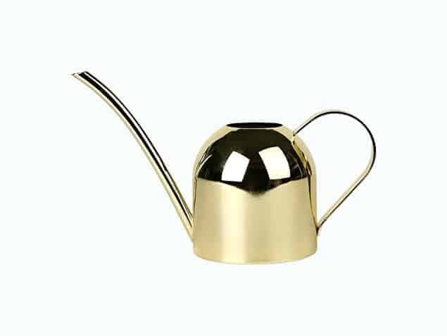 Small Stainless Steel Watering Can