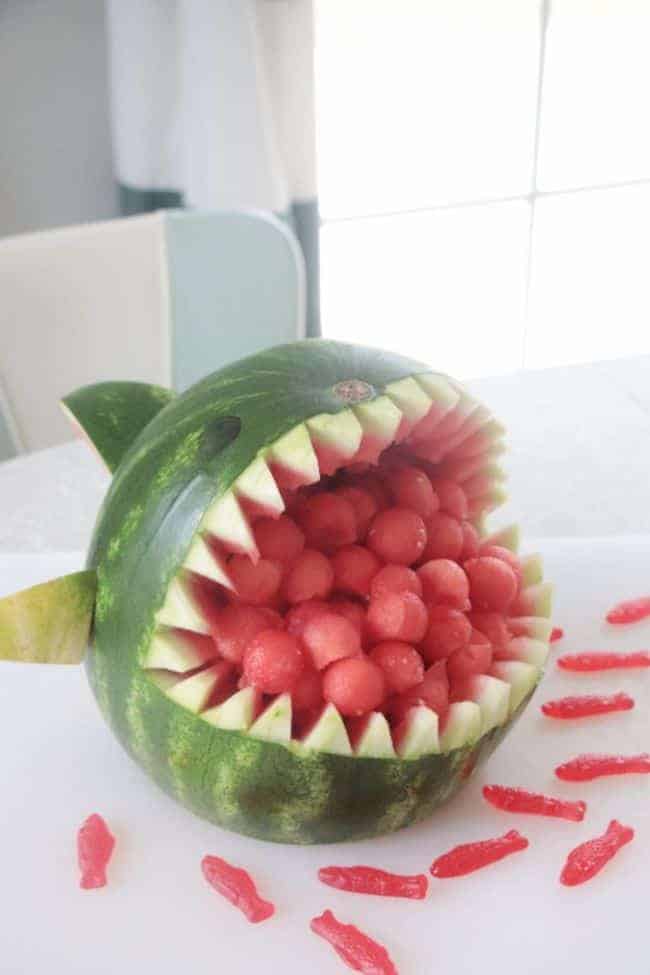 26 | SHARK WATERMELON