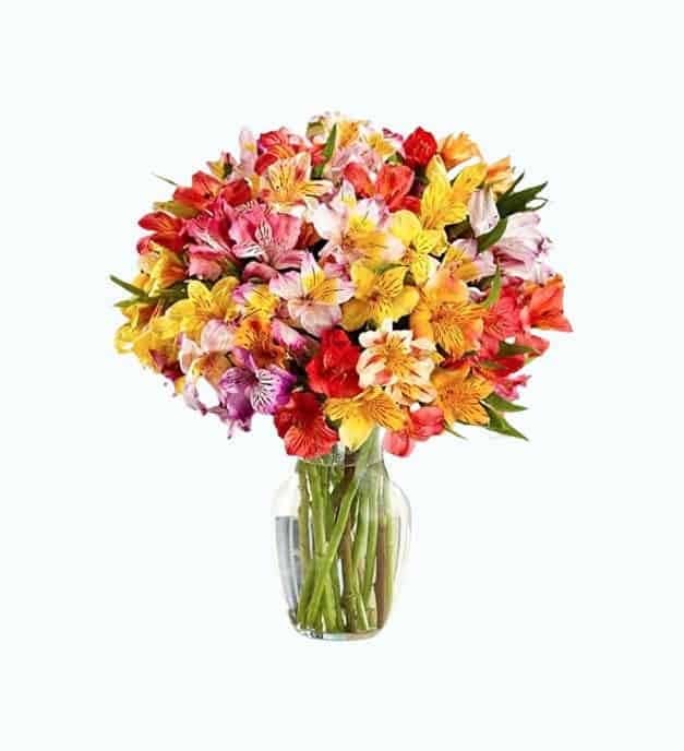 Rainbow Fields Multicolored Alstroemeria Bouquet