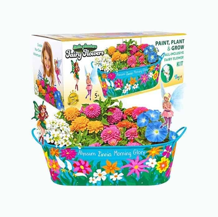 Fairy Garden Growing Kit