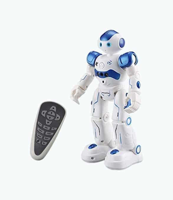 Remote Control Programmable Robot