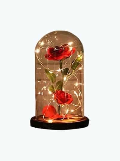 Rose With Fallen Petals in Glass Dome