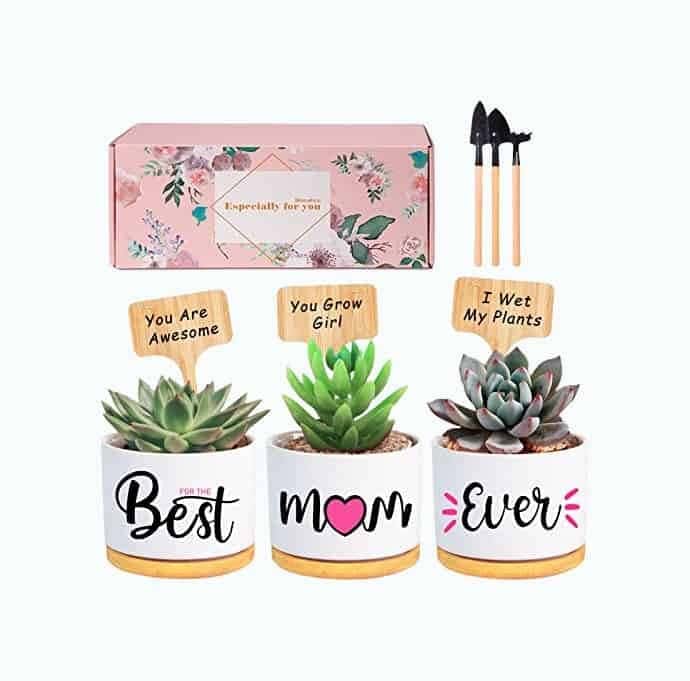 Mom Planter Pot Set