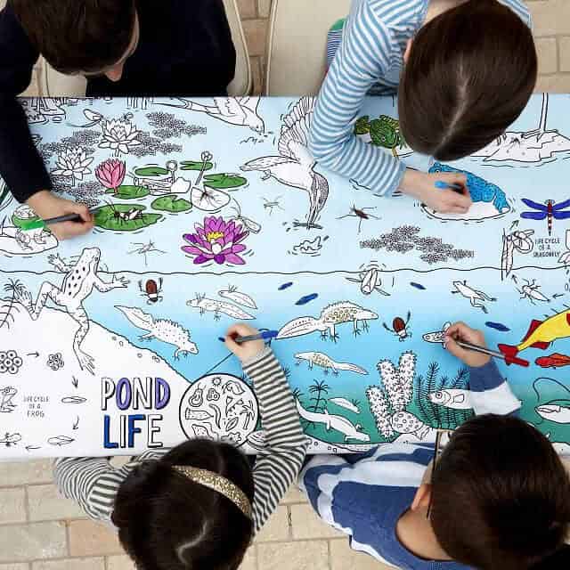 Pond Life Tablecloth