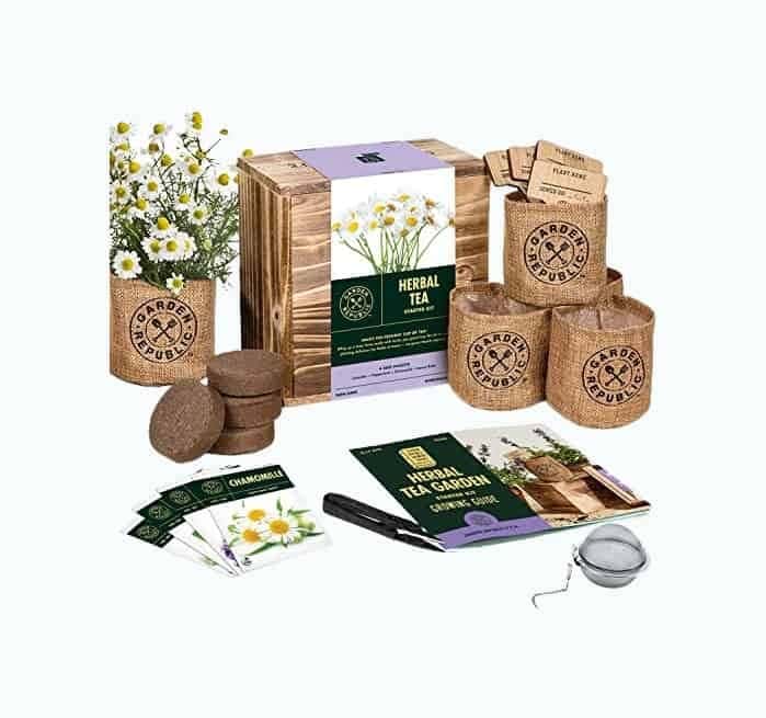 DIY Tea Herb Garden Kit