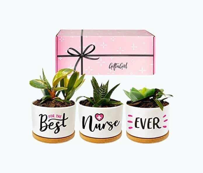 Nurse Plant Pot Set