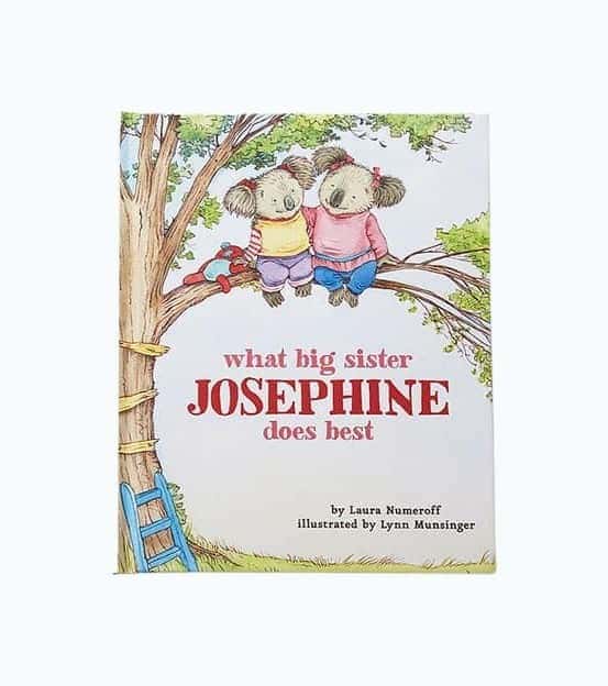 Big Sister Book