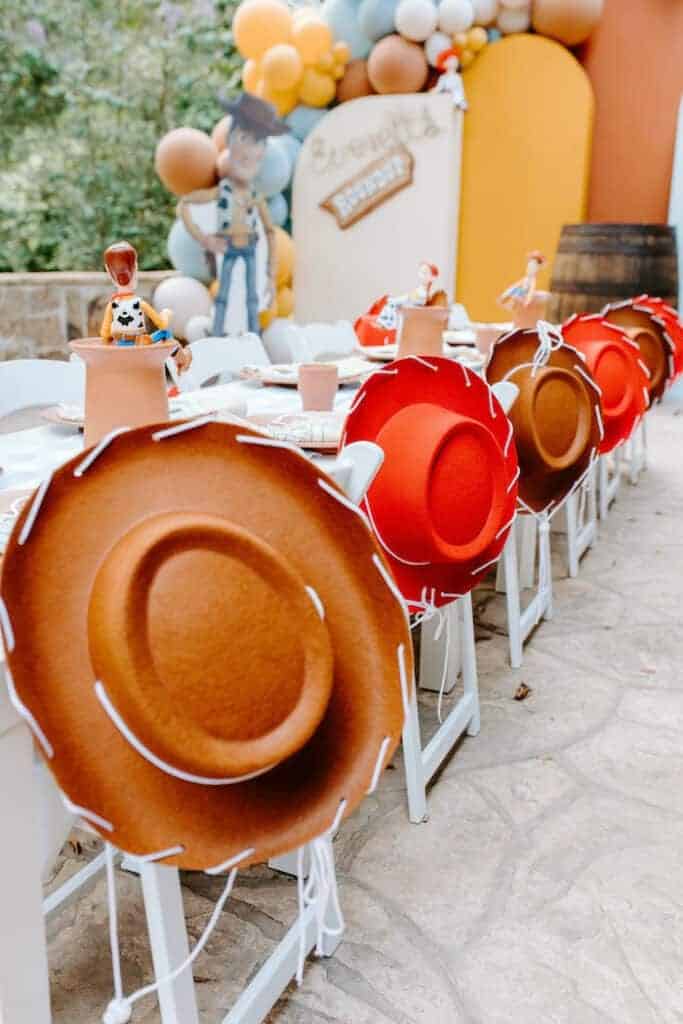 02 | WOODY COWBOY HATS