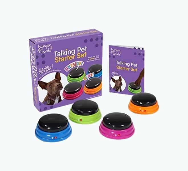 Talking Pet Starter Set