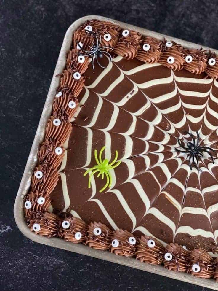 11 | SPIDER WEB SHEET CAKE