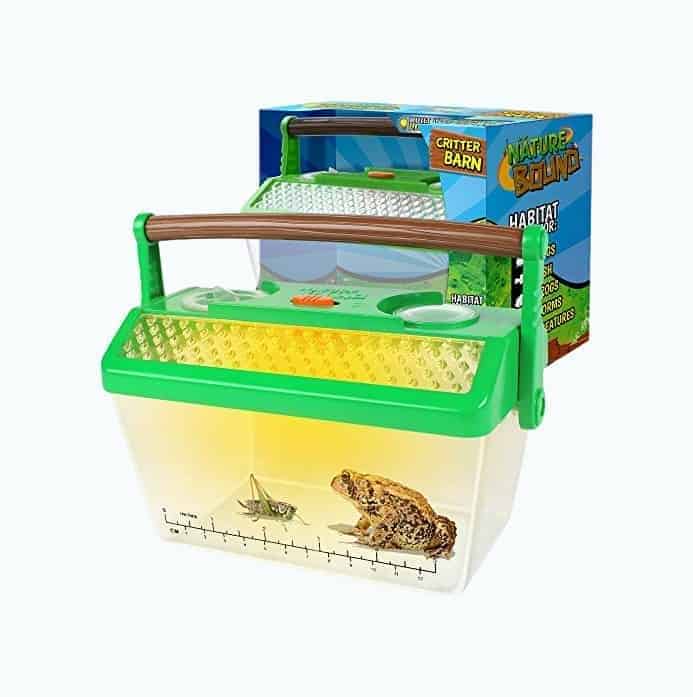 Insect Collecting Kit