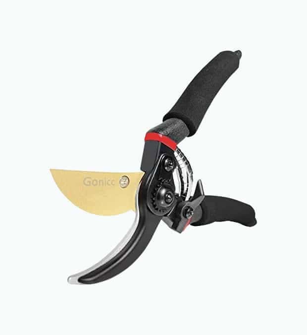 Titanium Pruning Shears