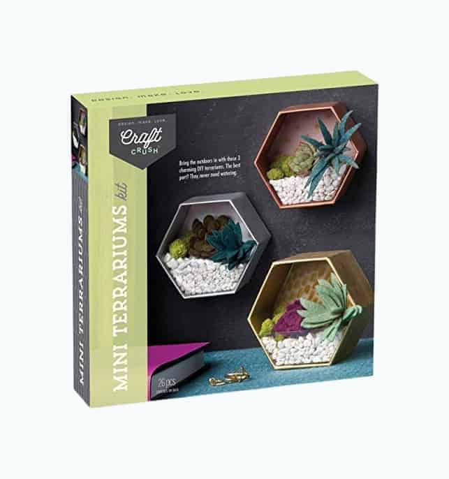 Mini Terrariums Gift Box