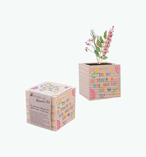 Teacher Wooden Planter