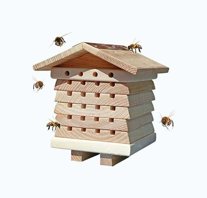 Wildlife World Bee House