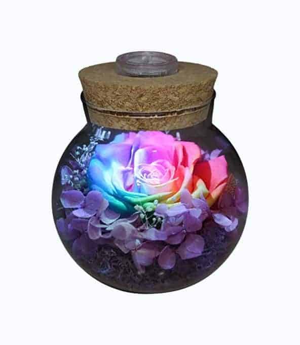 Preserved Roses Mood Light