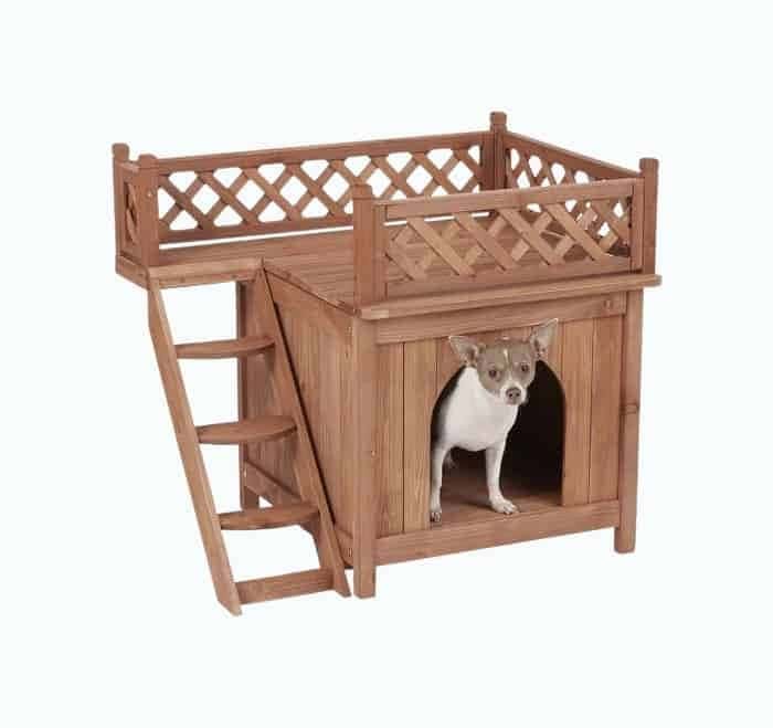 Dog House