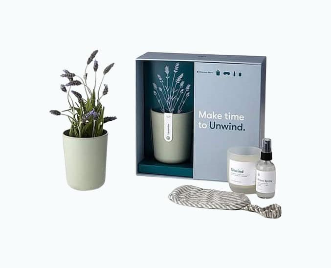 Unwind Lavender Gift Set