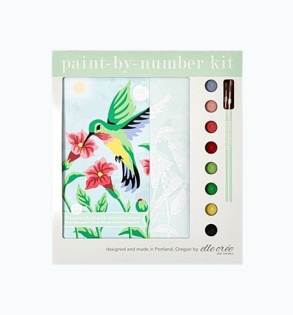 Hummingbird Paint-By-Number Kit