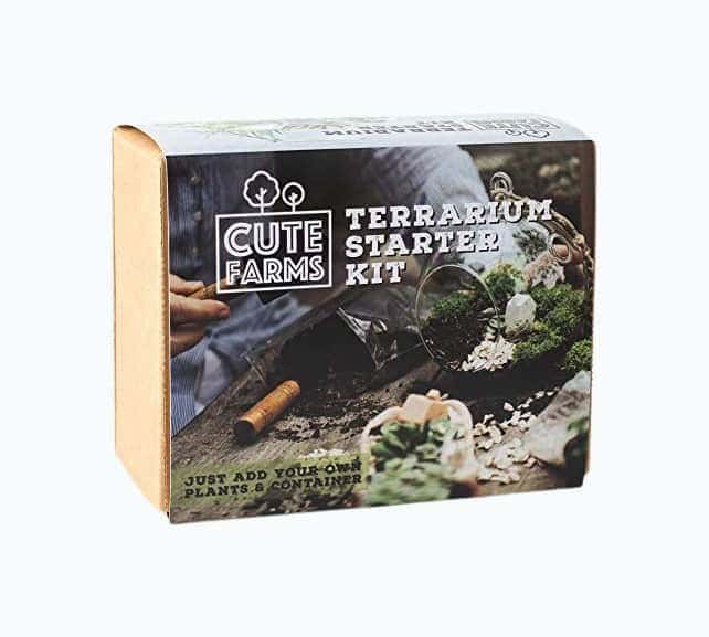 Terrarium Starter Kit