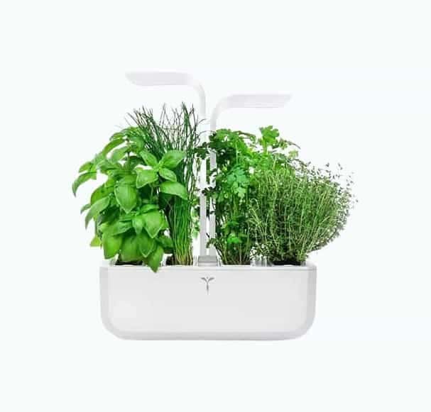 LED Self-Watering Multi-Herb Garden