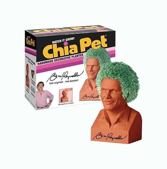 Burt Reynolds Chia Pet