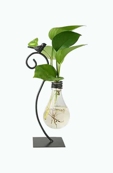 Desktop Glass Planter Hydroponics Vase