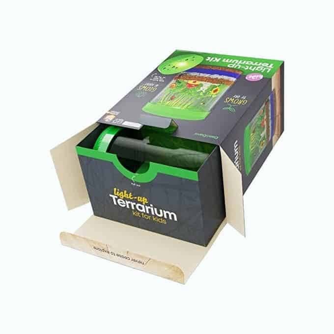 Light-Up Terrarium Kit for Kids