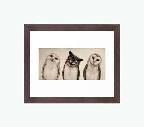 The Owl’s 3 Framed Art Print