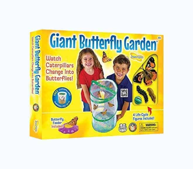 Insect Lore Giant Butterfly Garden