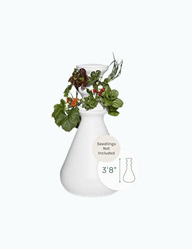 Hydroponic Growing Kit