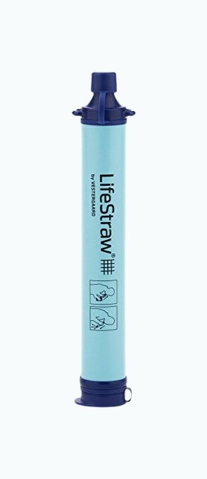 LifeStraw Personal Water Filter