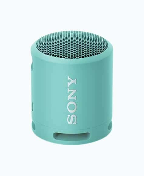 Portable Compact Speaker