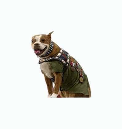 Sergeant Stubby