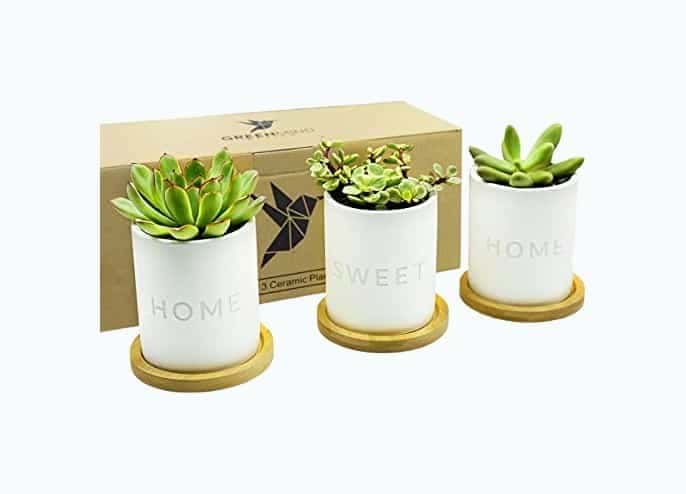 Home Sweet Home Ceramic Pots - 3.5 inch