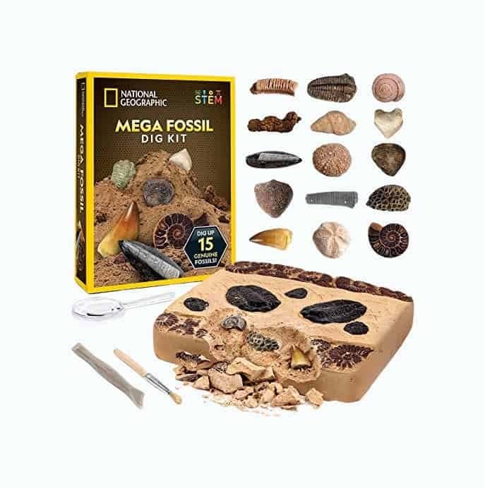 Mega Fossil Dig Kit