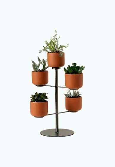 Modern Desktop Terracotta Planters